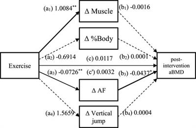 Effects of cheerleading practice on advanced glycation end products, areal bone mineral density, and physical fitness in female adolescents